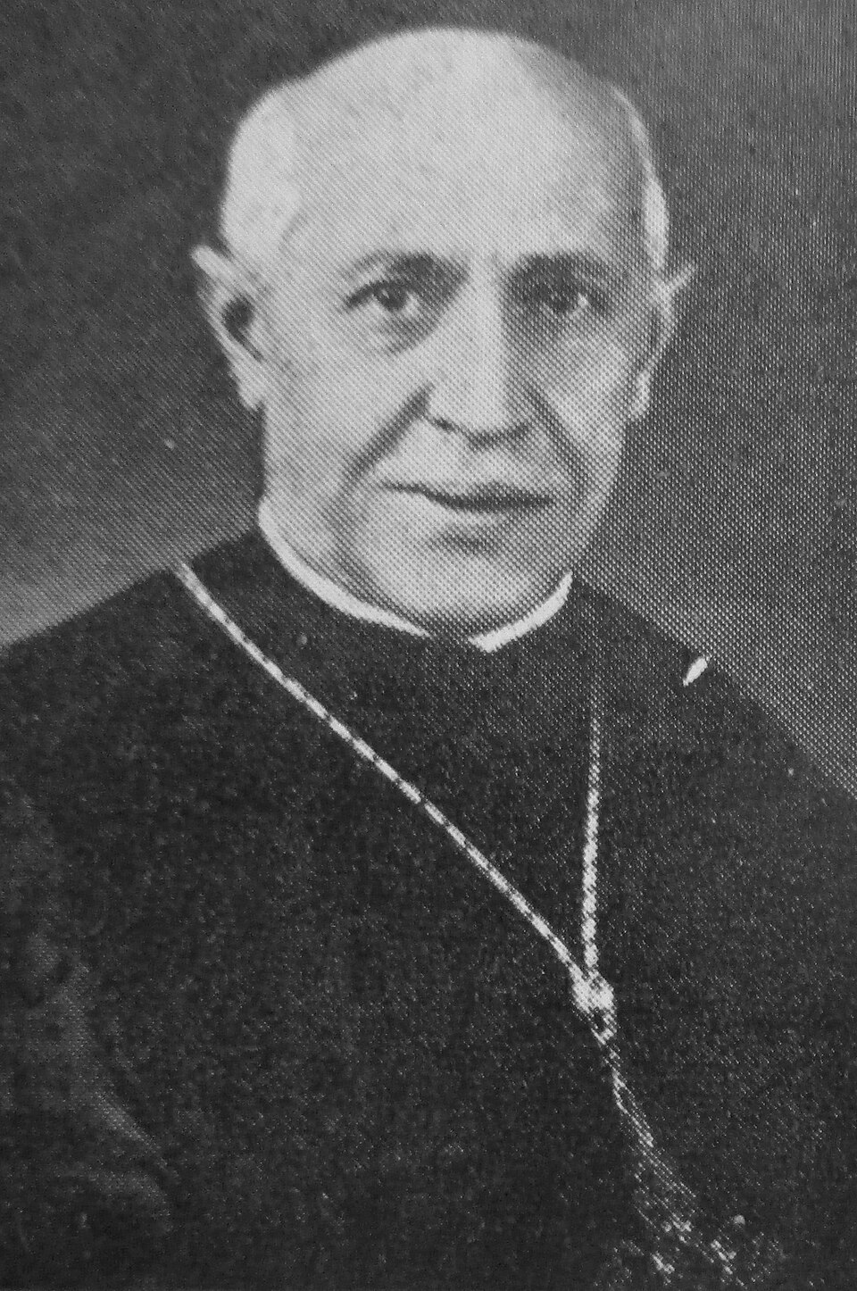 Carlo Cremonesi