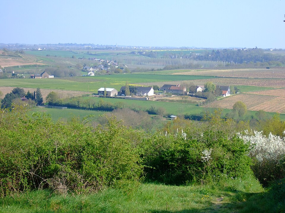 Layon