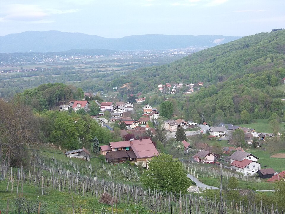 Cerina
