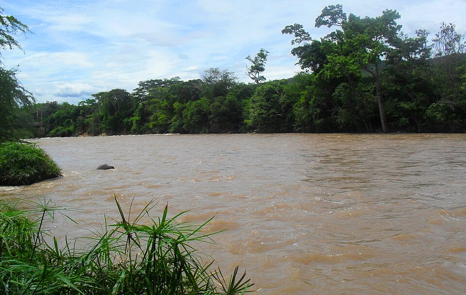 Zulia River