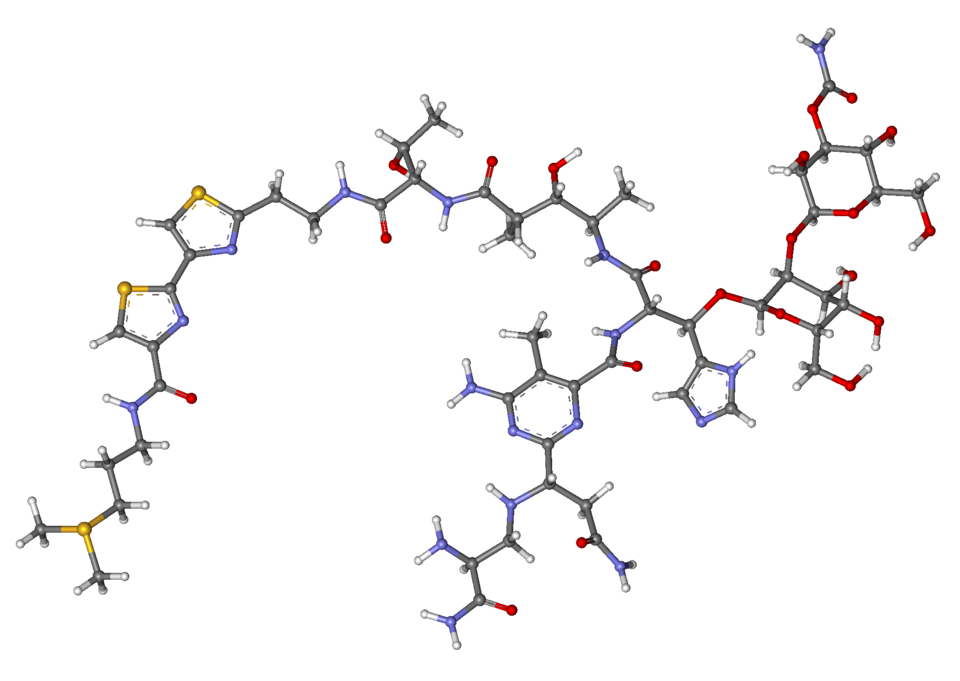 bleomycin