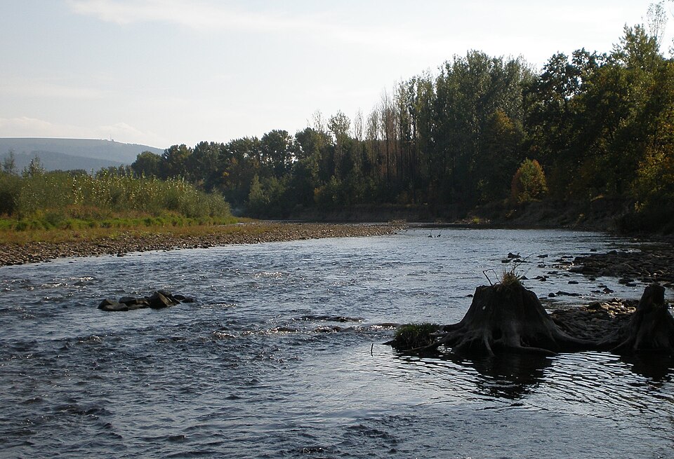 Kobiernice