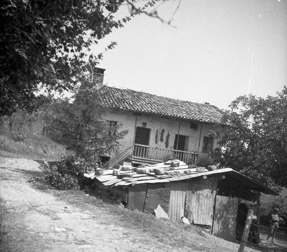 Orehovlje