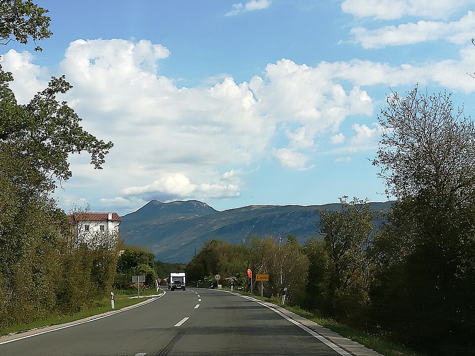 Stepčići