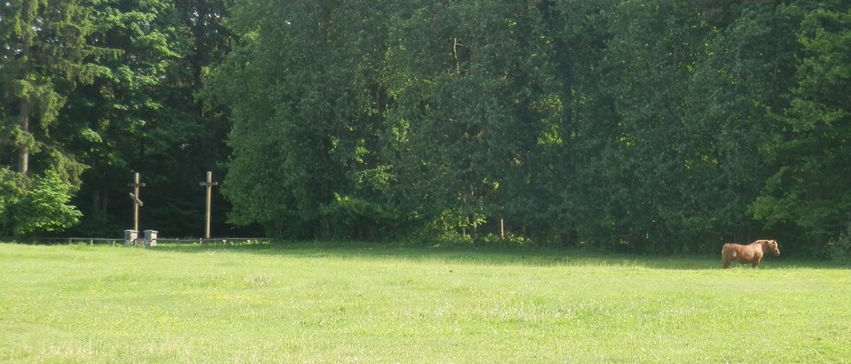 Wólka