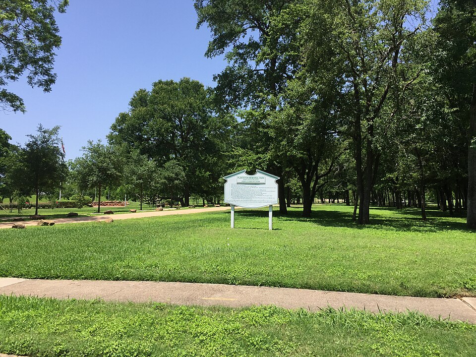 Pecan Grove