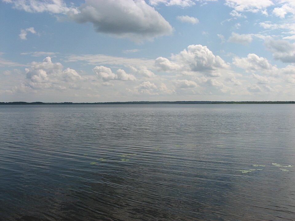 Seliger