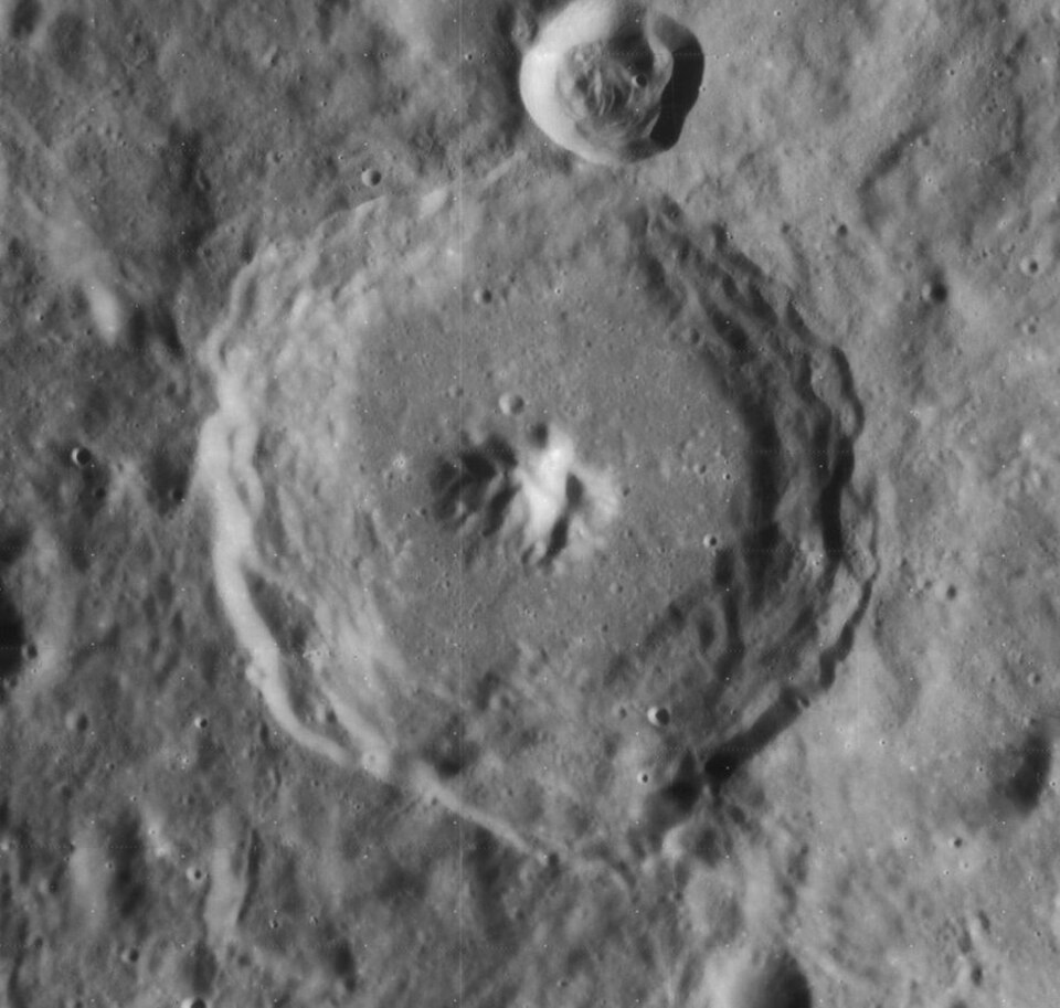 Piccolomini