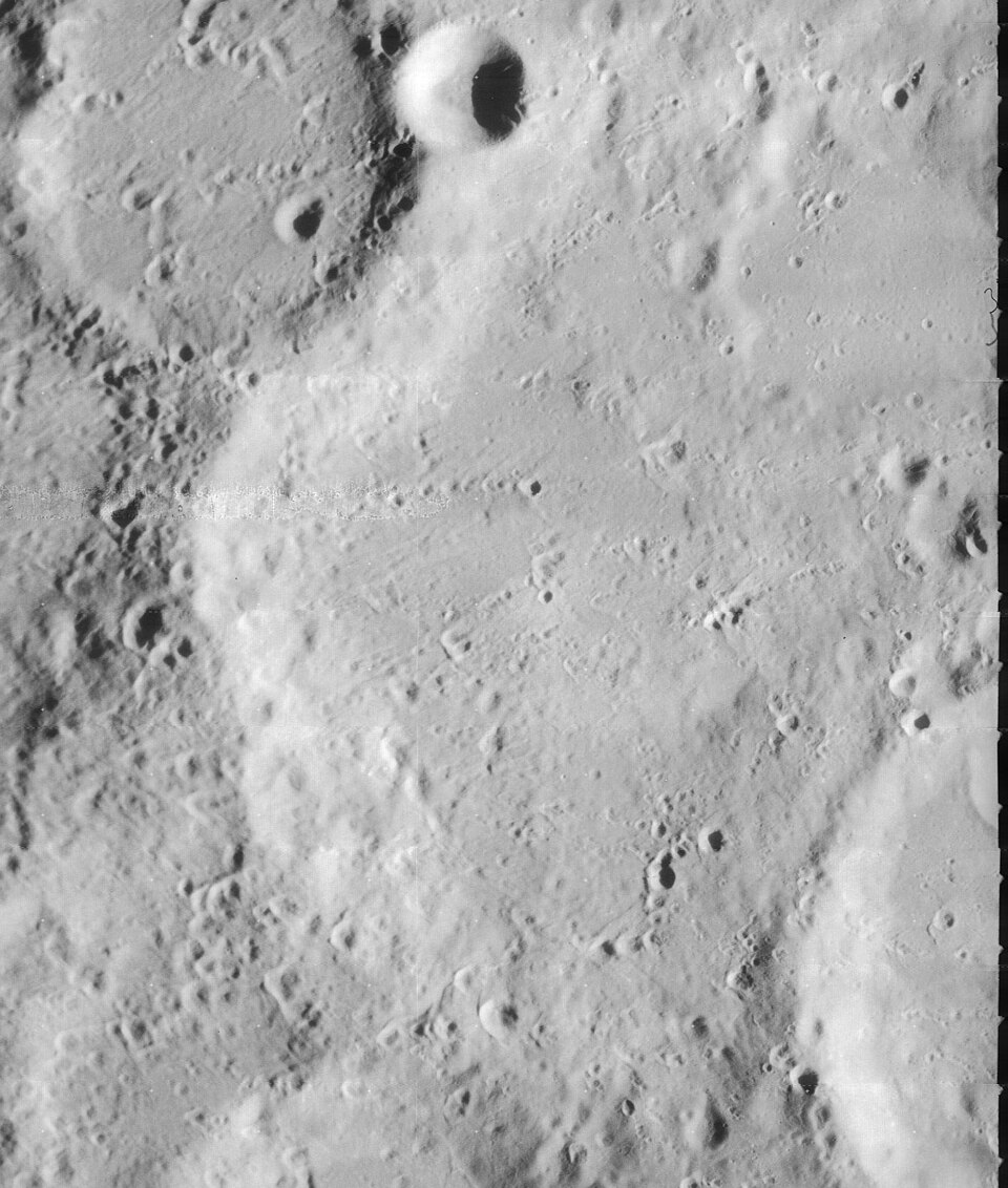 Orontius