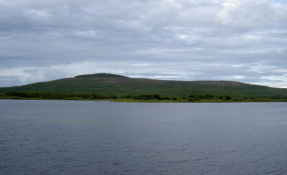 Aavasaksa