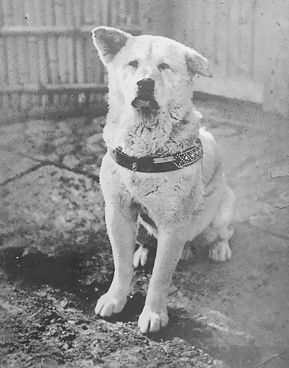 Hachiko Monogatari