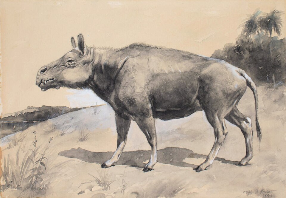 Entelodon