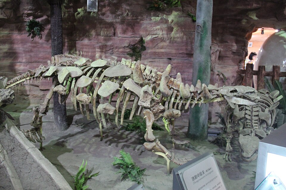 Zhongyuansaurus