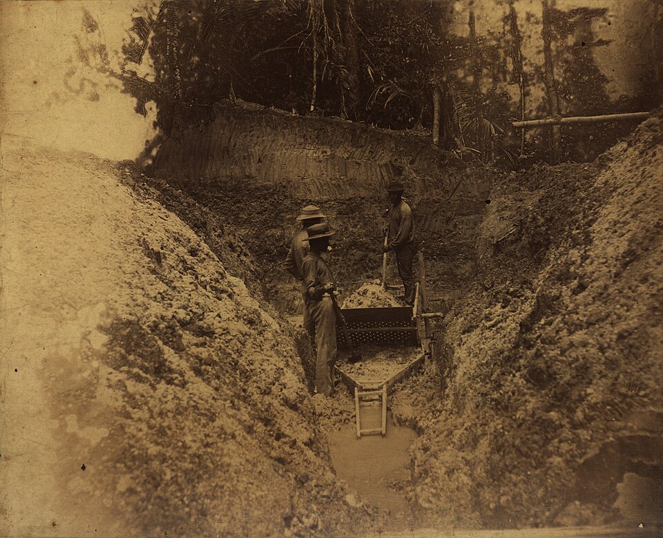 processing sludge