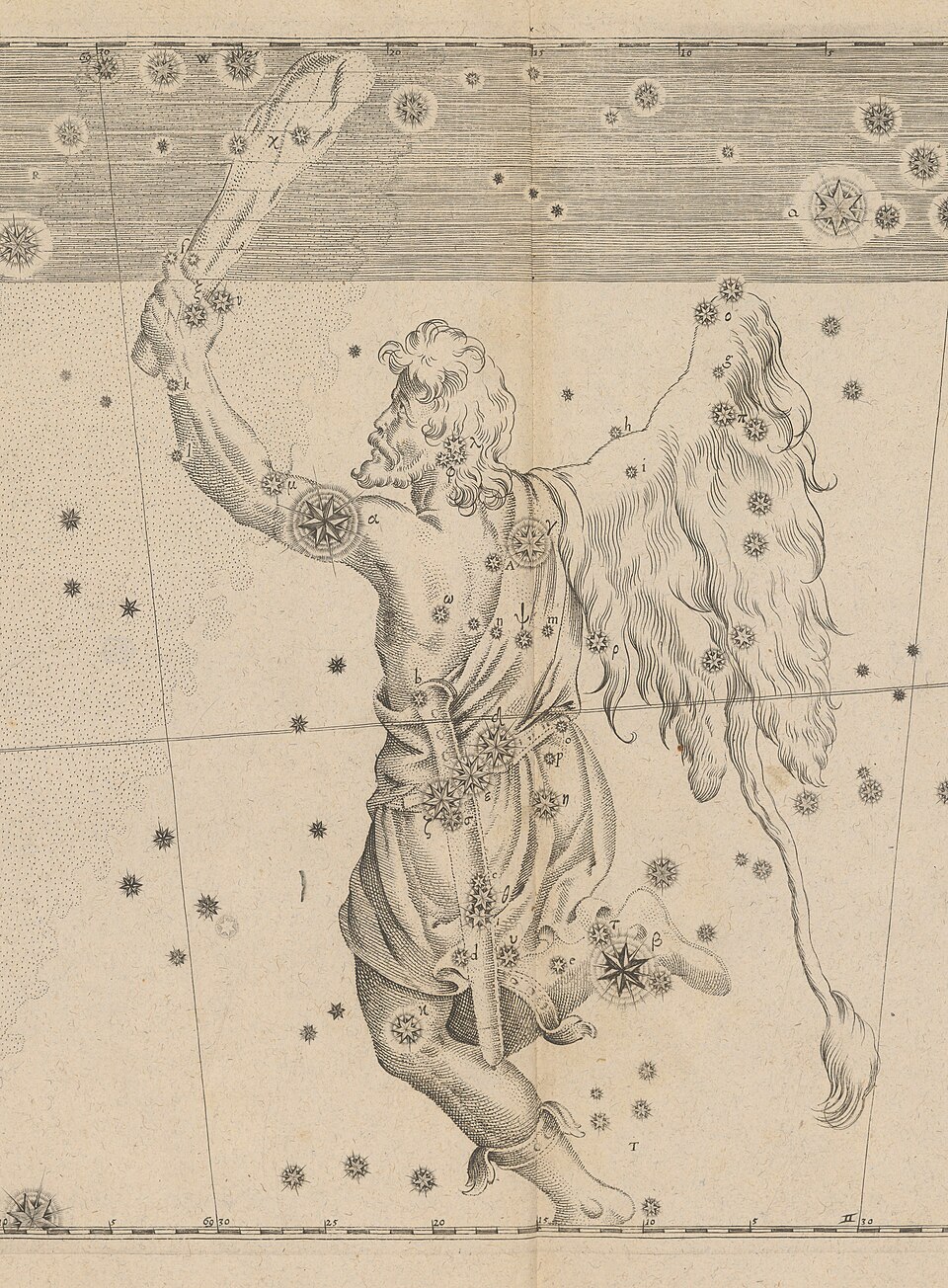Orion