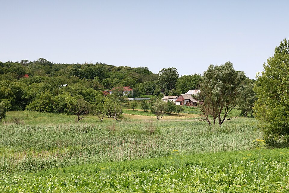 Levkivtsi