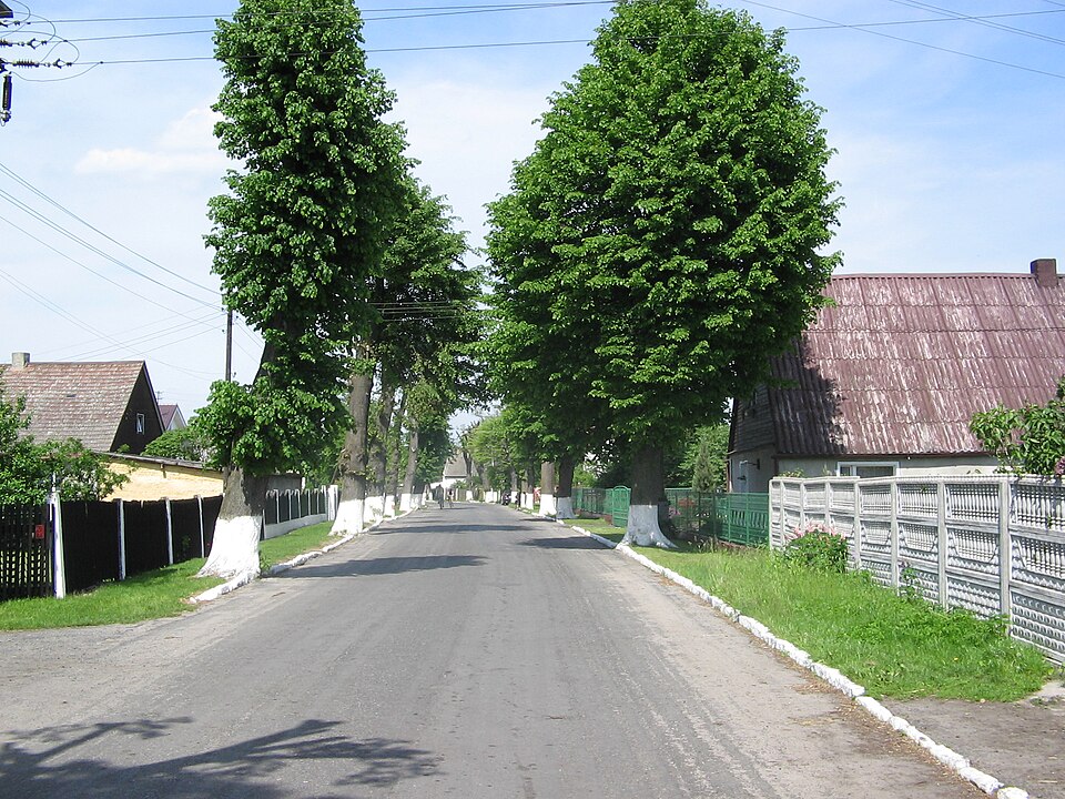 Dziuplina