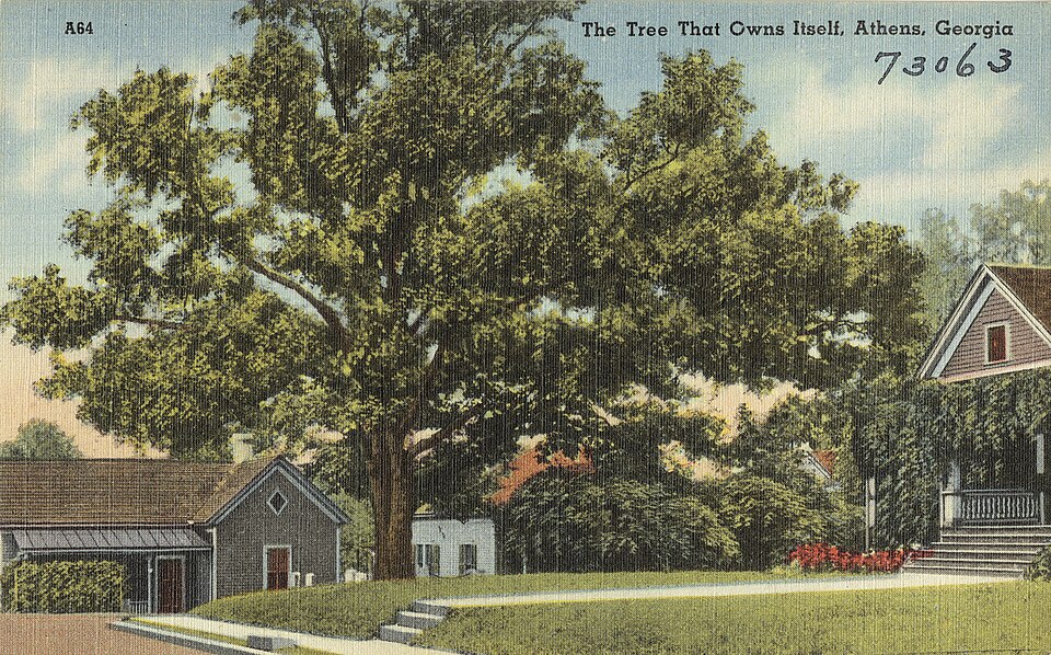 Tree That Owns Itself