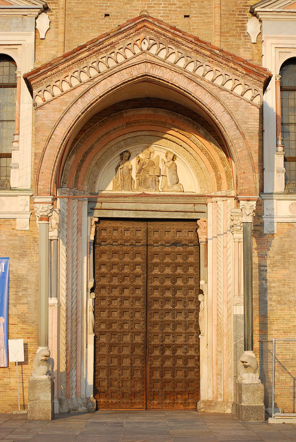 protyrus