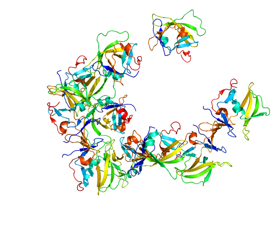 DExD/H-box helicase 58