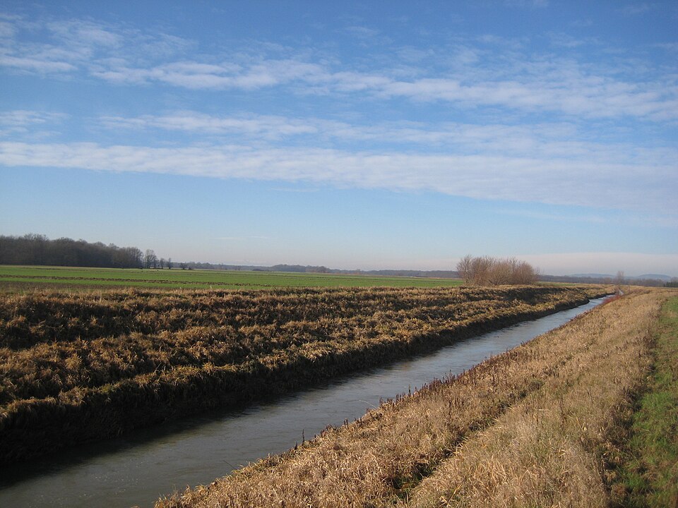 Ledava