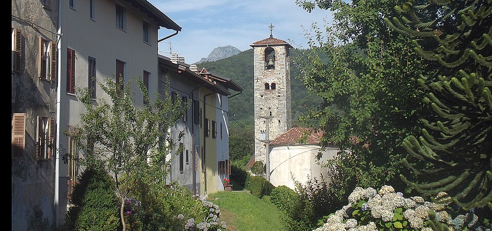 Callabiana