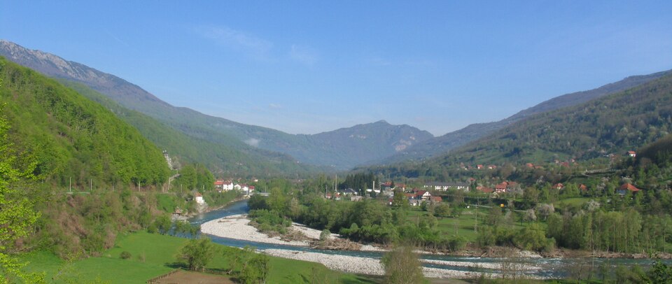 Murino