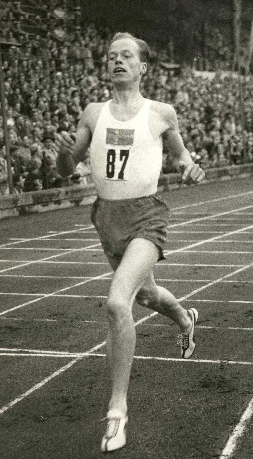 Dan Waern