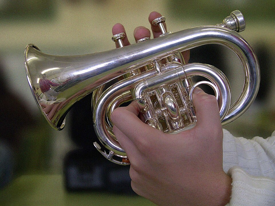pocket trumpet