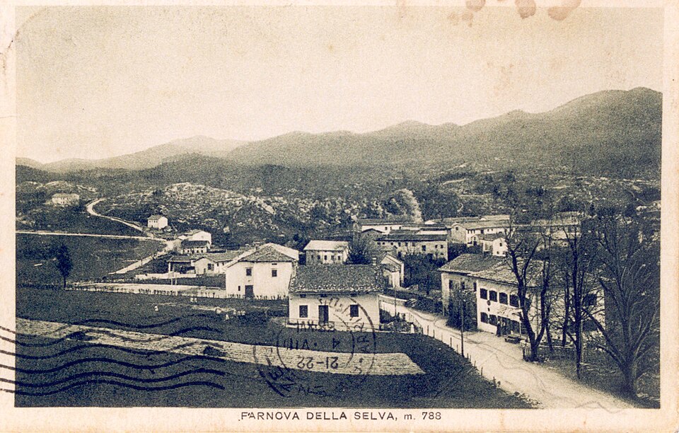 Trnovo