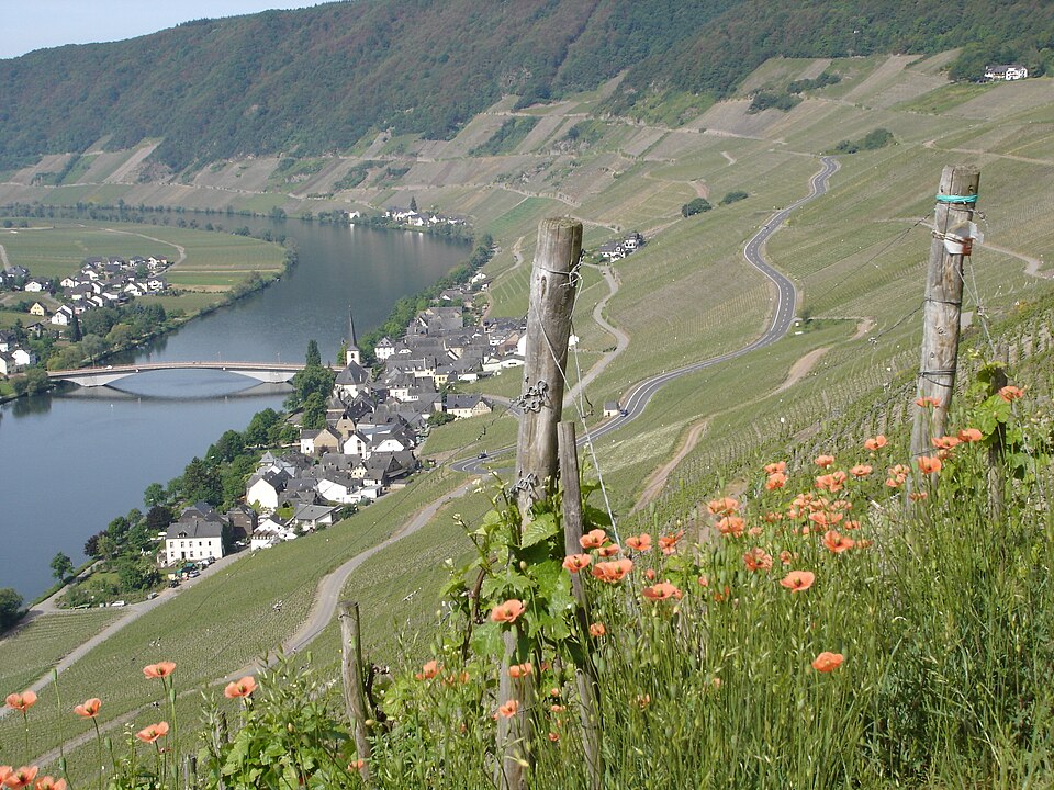 Piesport