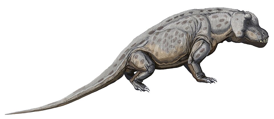 Anteosauridae