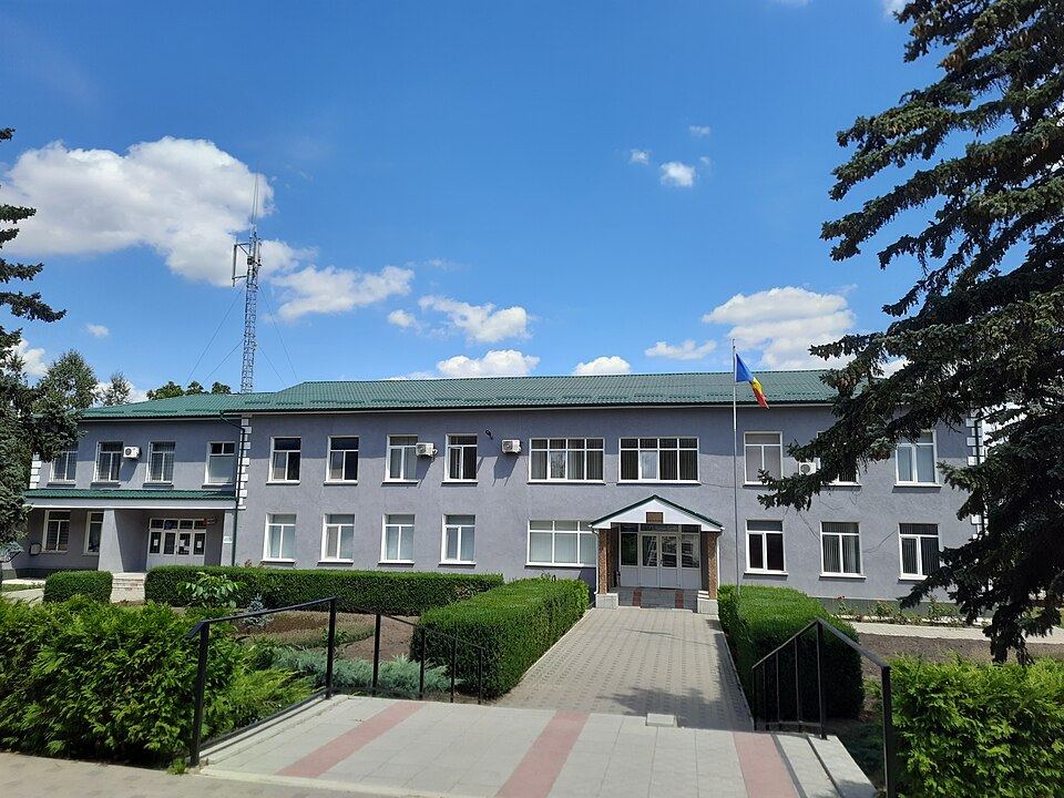 Grimăncăuți