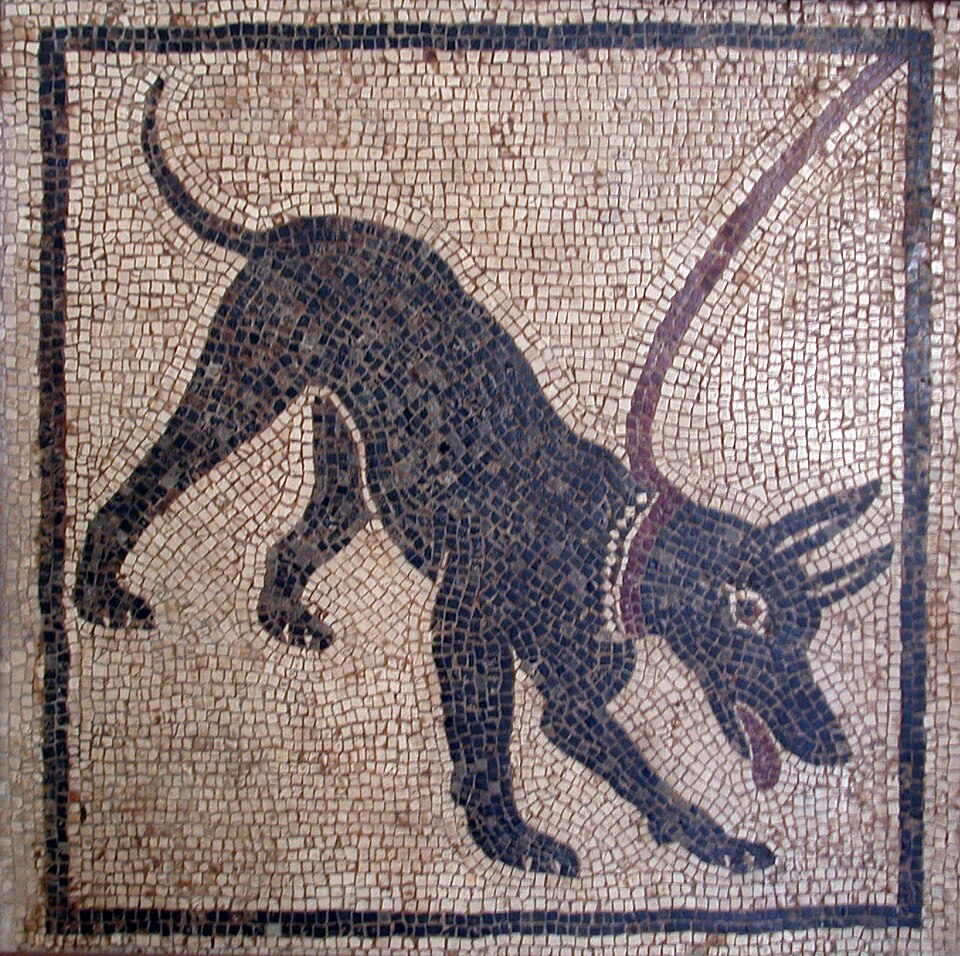 The Dog and The Wolf