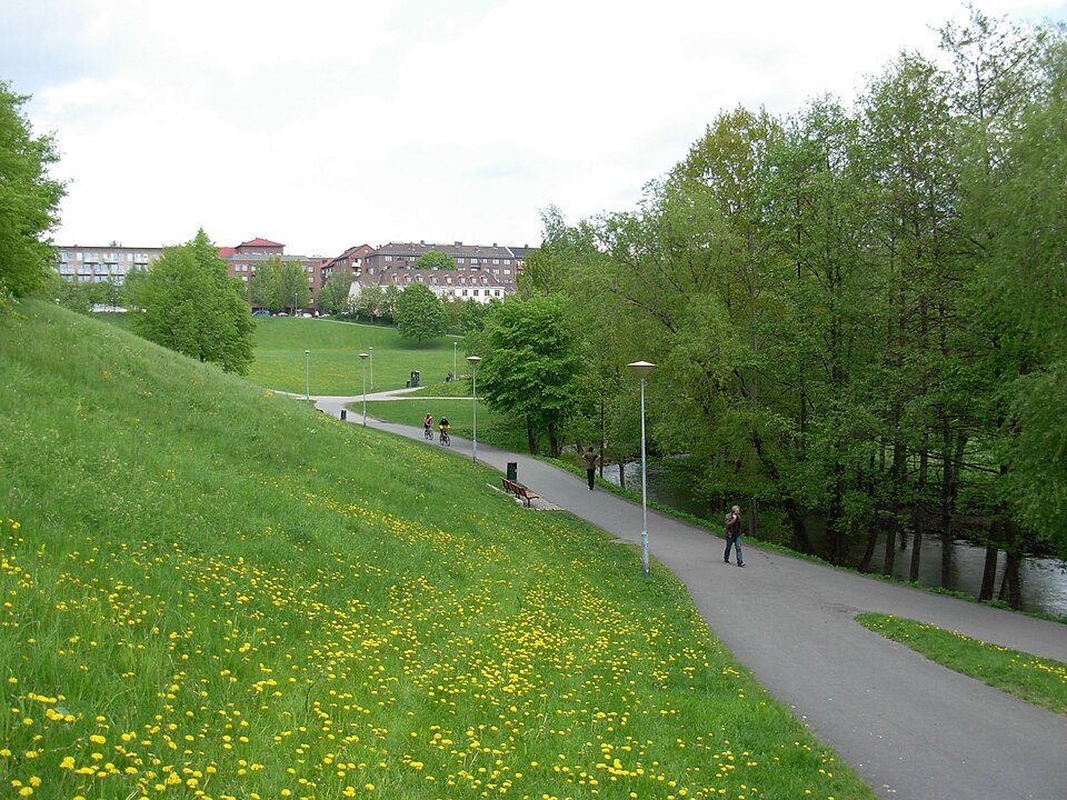 Sagene
