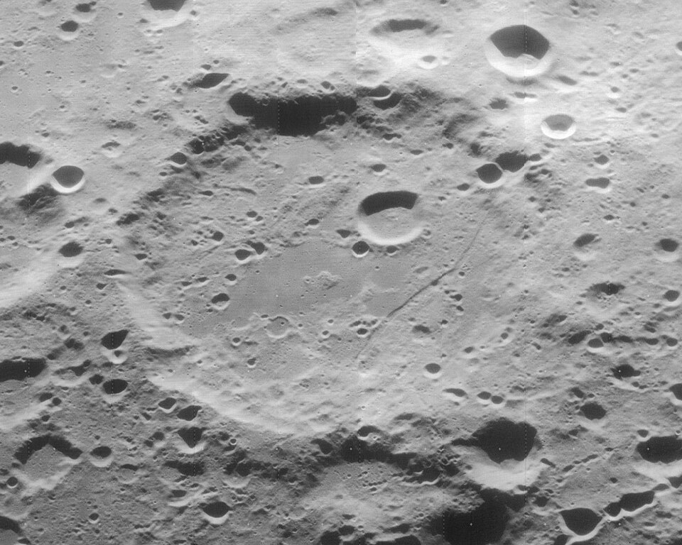 Furnerius