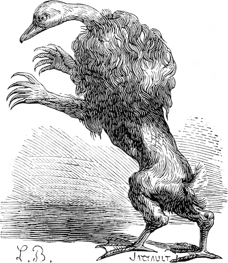 cobra chicken