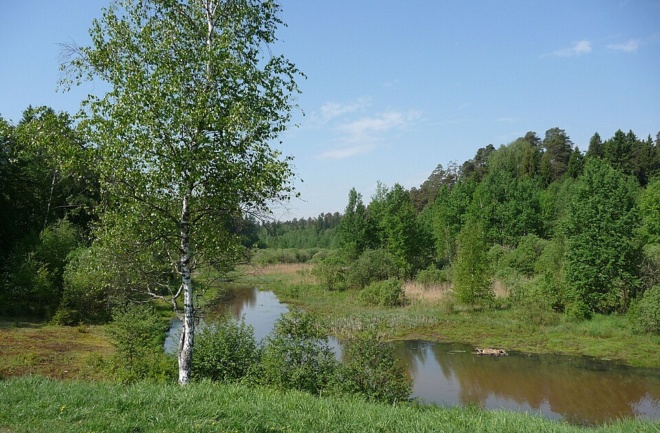 Lyuboseevka