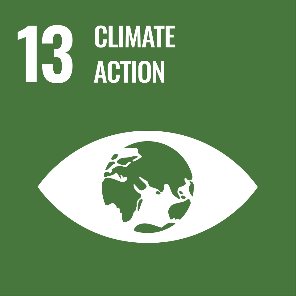 Sustainable Development Goal 13