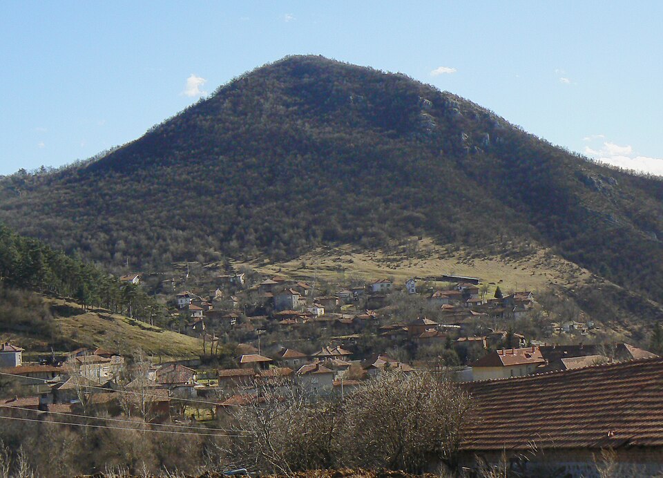 Petrich
