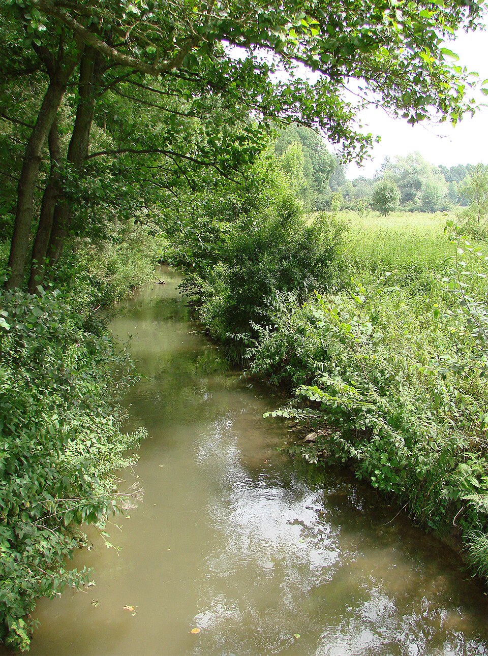 Ardre