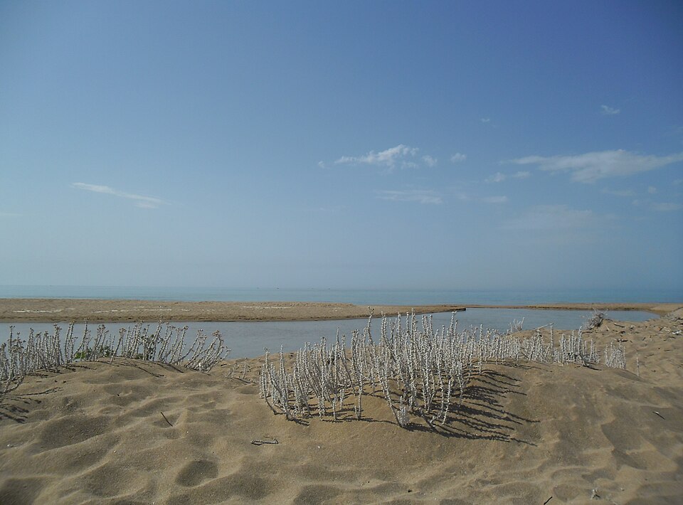 Belice