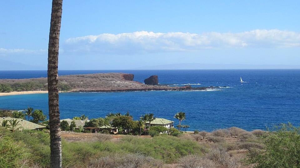 Manele