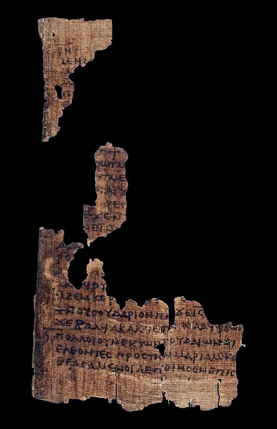Papyrus 6