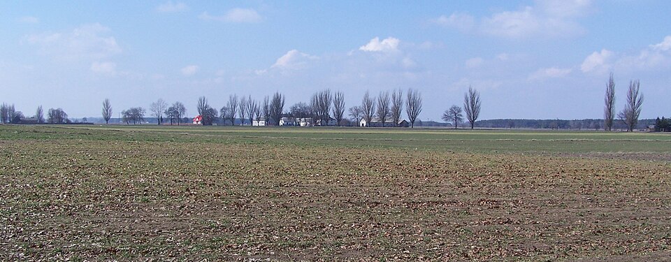 Kręgi Nowe