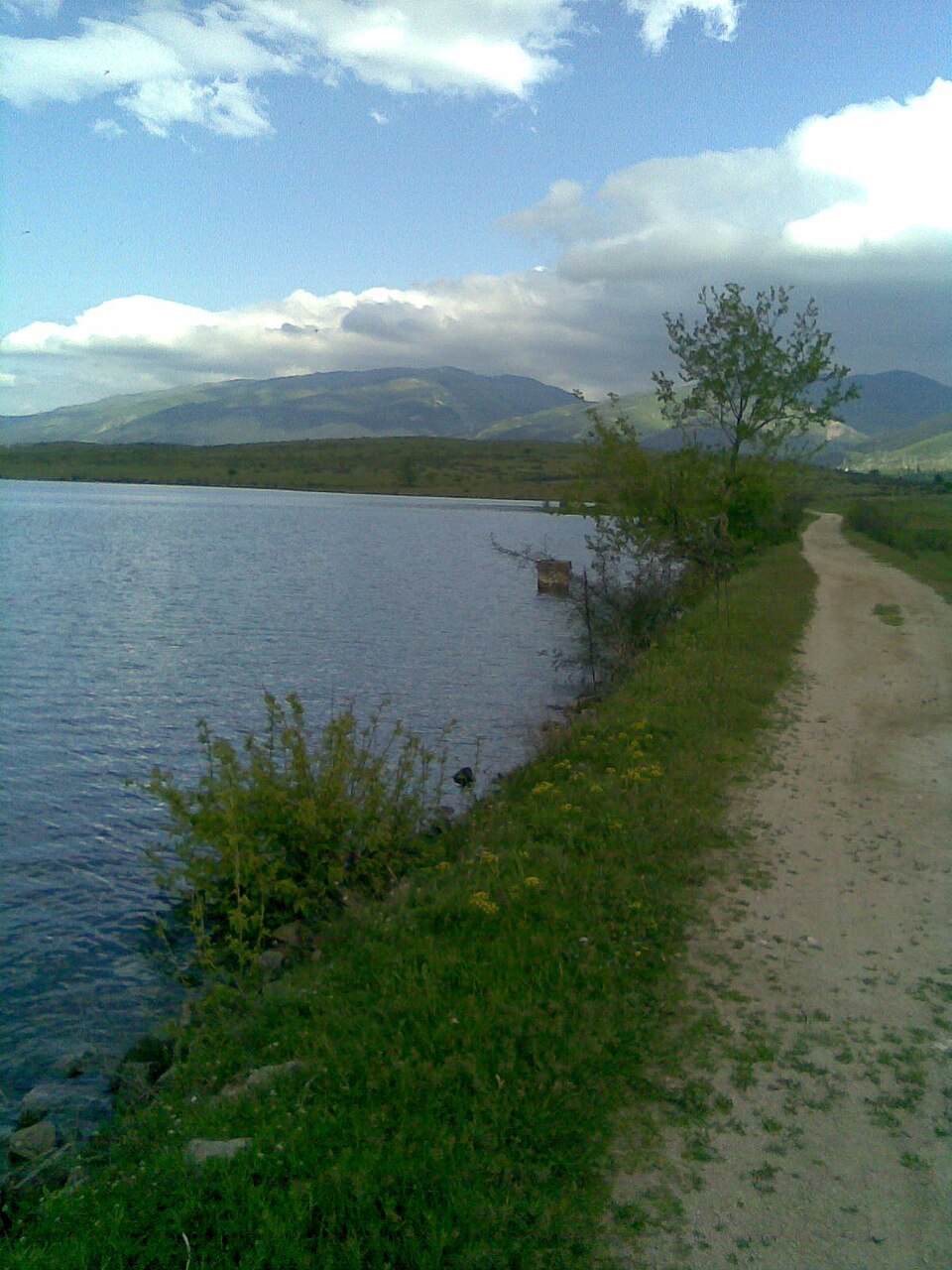 Orizari