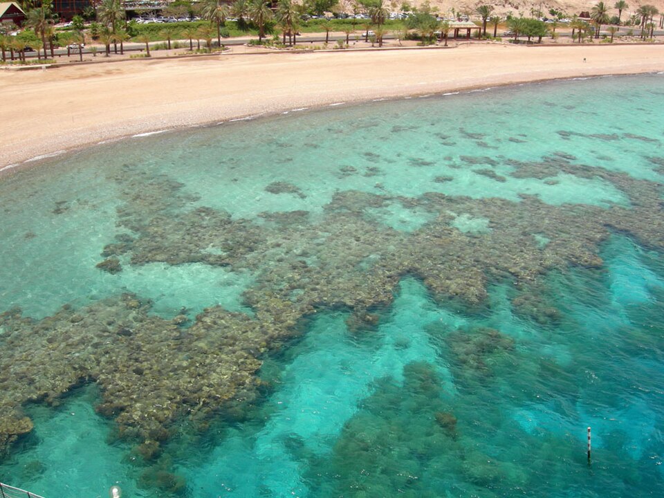 fringing reef
