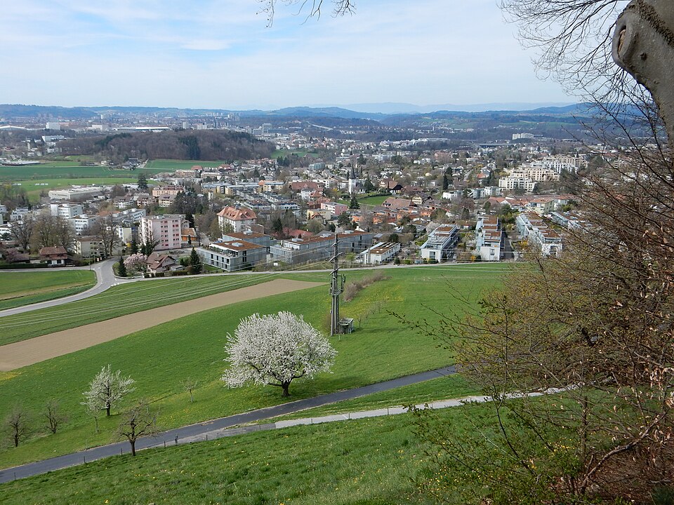 Bolligen