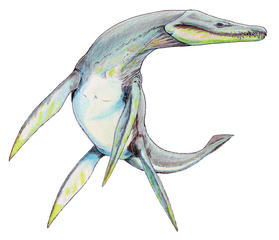 Pliosauroidea