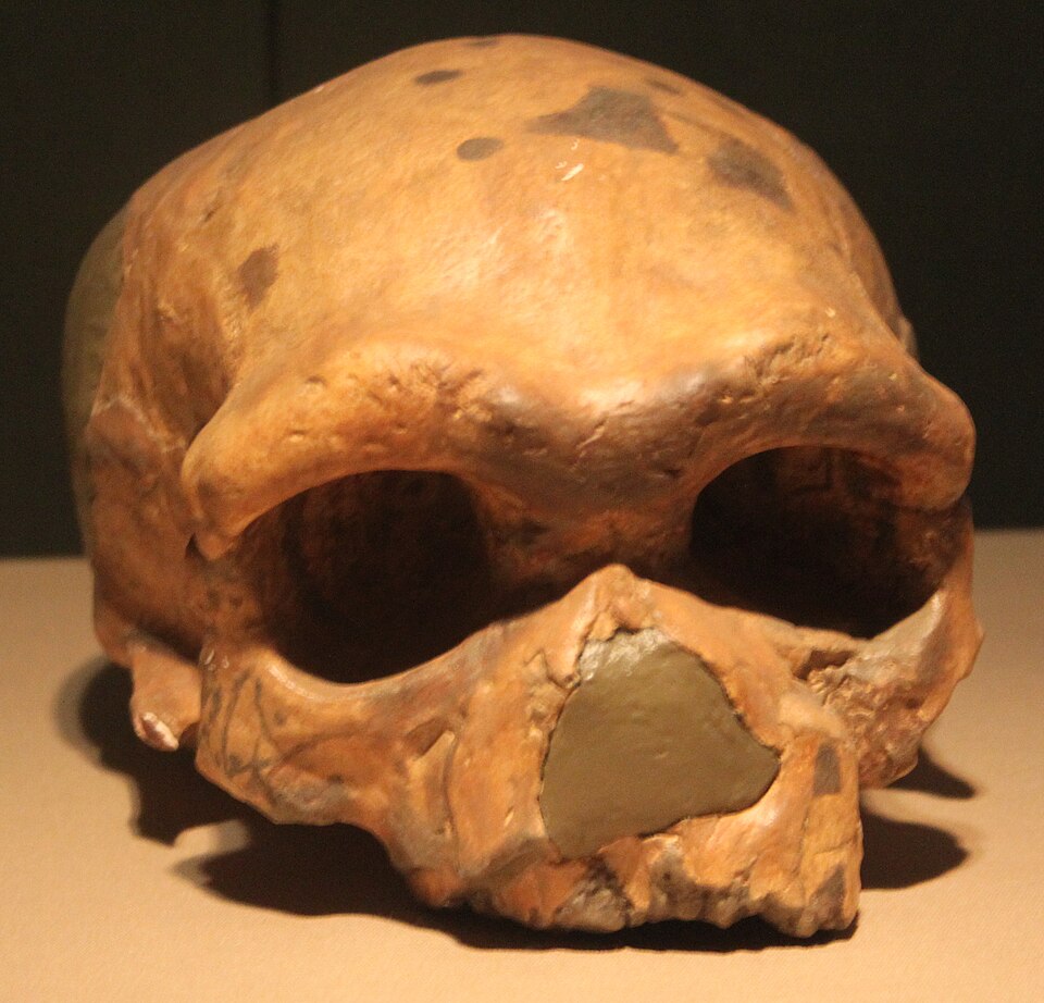 Dali Man